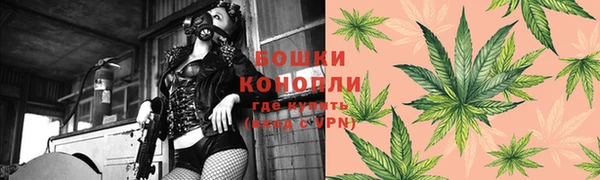 кристаллы Гусь-Хрустальный