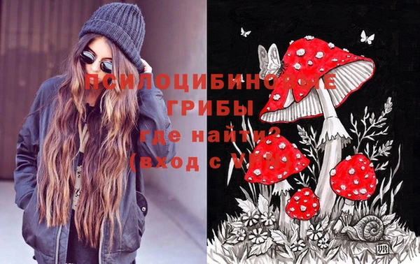кристаллы Гусь-Хрустальный