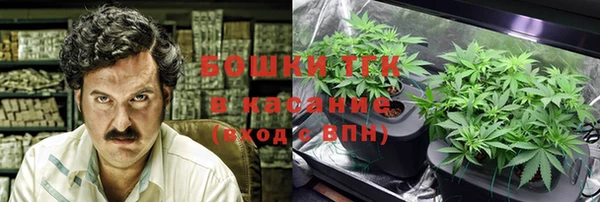кристаллы Гусь-Хрустальный