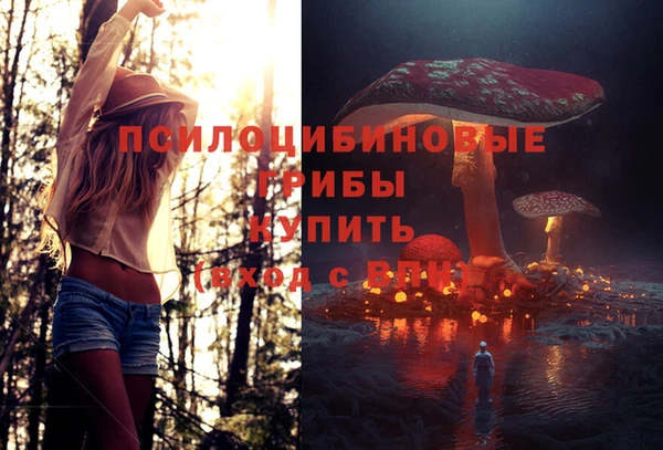 МДМА Гусиноозёрск